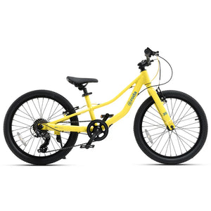 BICICLETA RODA PRO ARO 20 V4