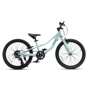 BICICLETA RODA PRO ARO 20 V4