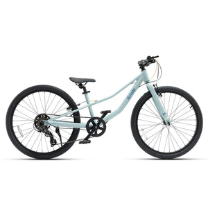 BICICLETARODA PRO ARO 24 v4