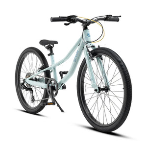 BICICLETARODA PRO ARO 24 v4