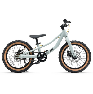 Bicicleta Roda Trail Aro 16 V1