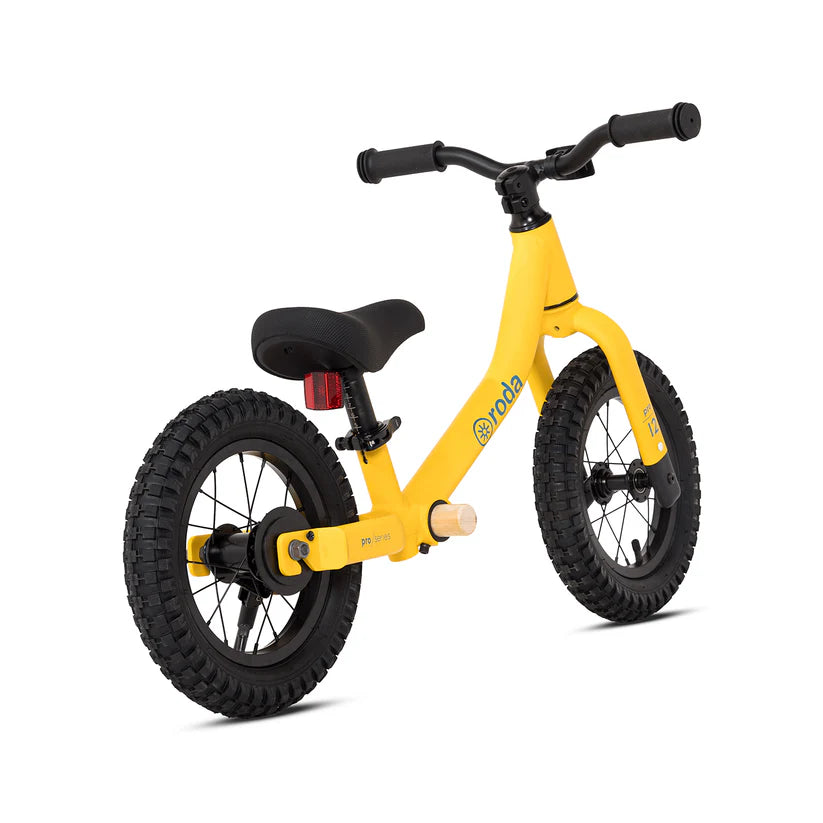 BICICLETA RODA PRO ARO 12 V2