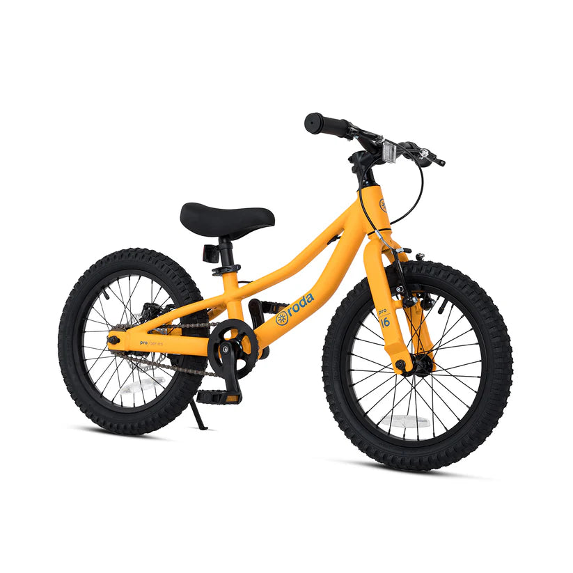 BICICLETA RODA PRO ARO 16 V3